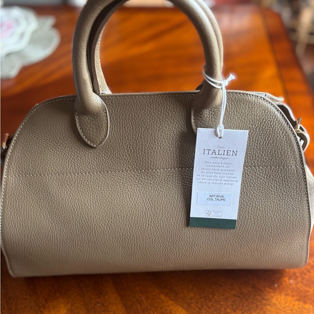 Anna Paola Taupe Leather/Suede Hangbag